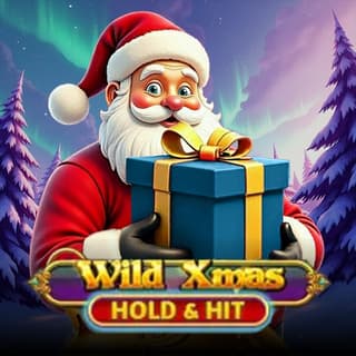Wild Xmas -  Hold & Hit