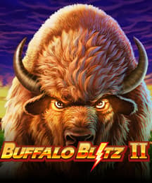 Buffalo Blitz 2