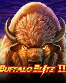 Buffalo Blitz 2
