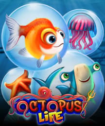 Octopus Life