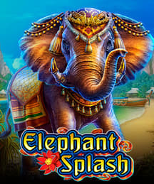 Elephant Splash