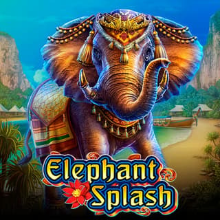 Elephant Splash