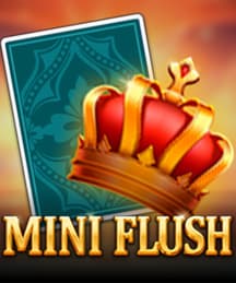 MiniFlush