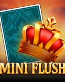 MiniFlush