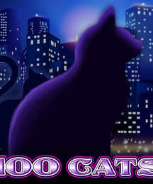 100 Cats